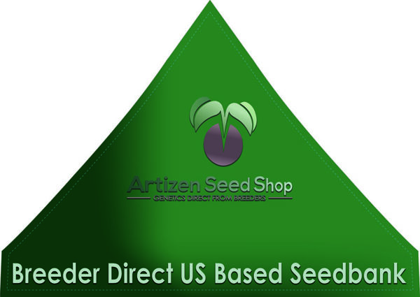 Cannabis seed breeder tent