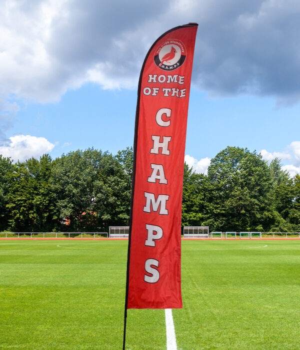 Custom Youth Sports Feather Flags - Image 5