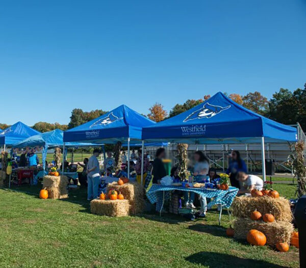 BLUE TENTS WITH FALL DECOR